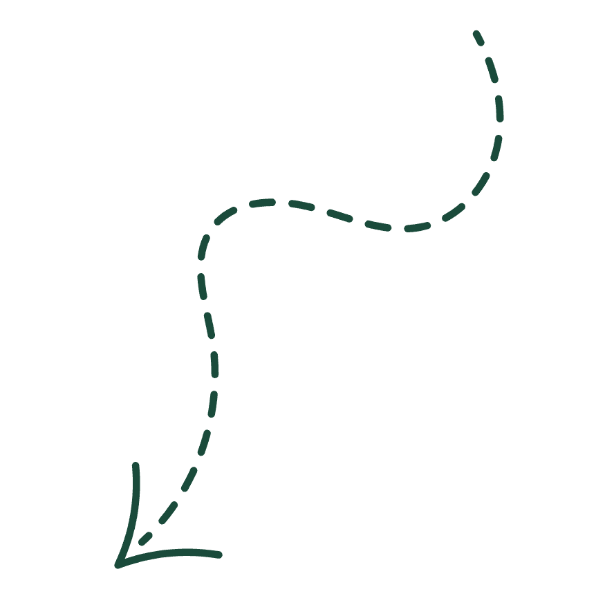 Arrow pointing to dashboard