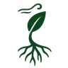 Flowroots Logo